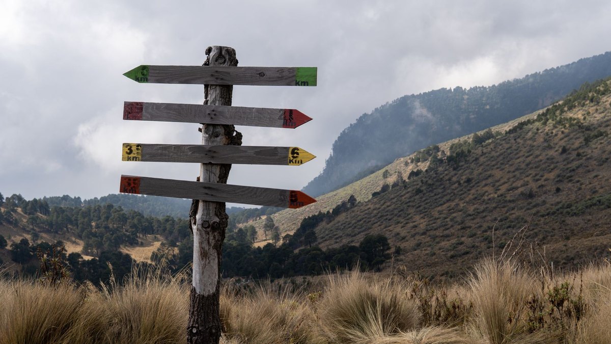 Decision Fatigue: Why Your Willpower Runs Out by Evening
