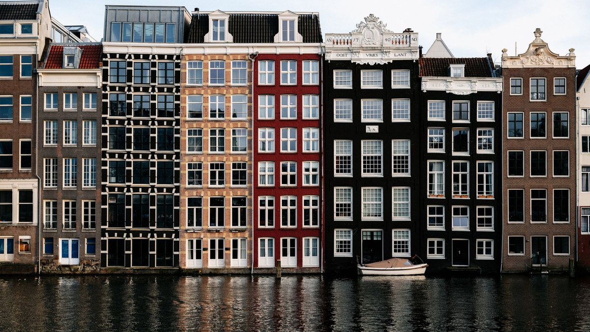 Tulip Mania: When a Single Flower Cost More Than a House